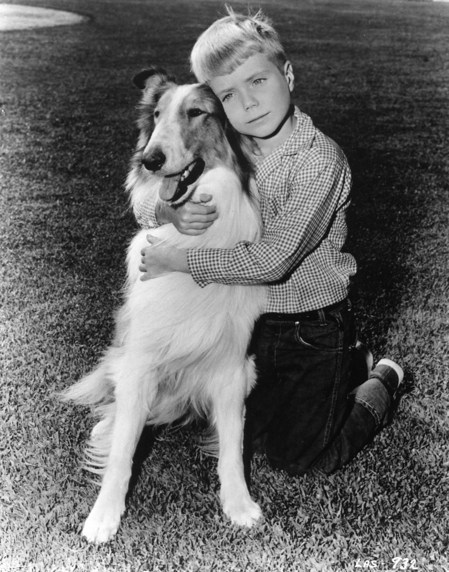 Lassie Star Adopts Senior Dog