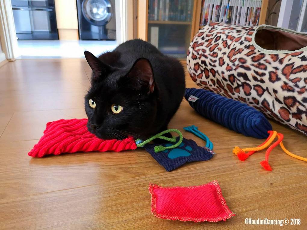 Review of 4cats Toys: High-Quality, Organic, and Irresistible for Cats