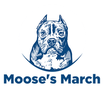 Take Charge of Your Pet’s Health: Join Moose’s March Webinar on Early Pet Cancer Detection
