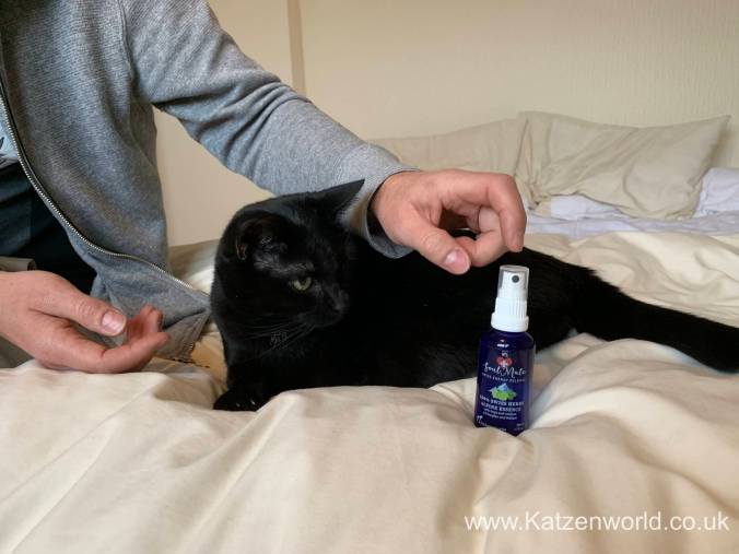 The Benefits of SOULMATE N°1 Herbal Essence for Calming Pets and Strengthening the Bond