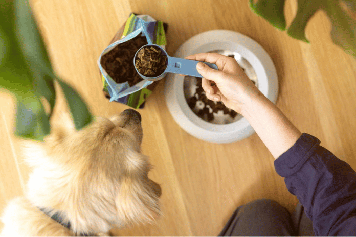 Novel Pet Food Ingredients You Need to Know About!