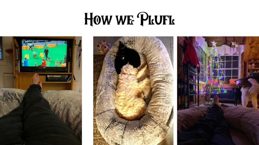 Review: Plufl Human Dog Bed