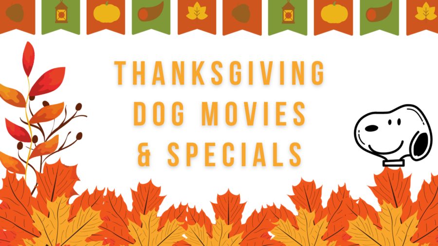 Thanksgiving Dog Movies & Specials