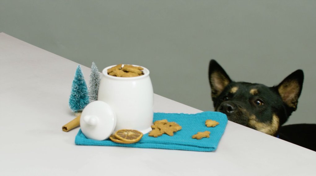 Bake Festive and Healthy Treats for Your Pets this Christmas with Battersea’s Recipes