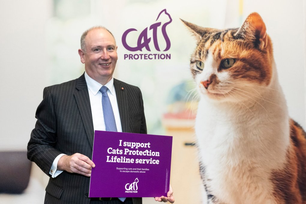 Cats Protection Raises Awareness of Cat Fostering for Domestic Abuse Victims