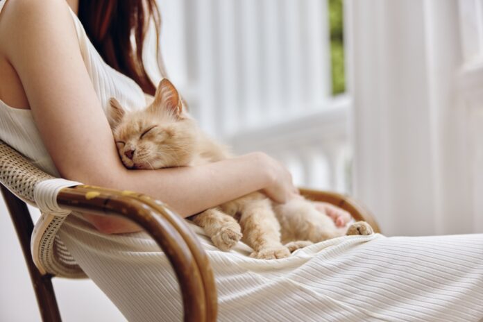 How Being a Cat Parent Improves Your Health: Top 5 Benefits