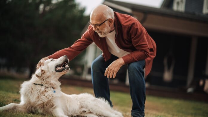 How Dogs Are Helping People with Alzheimer’s