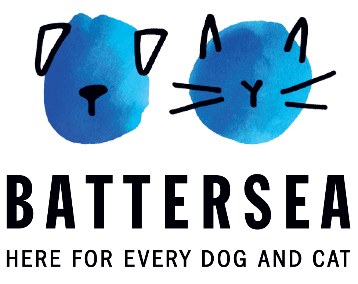 How to Keep Your Pets Happy and Safe During New Year Celebrations – Tips from Battersea Animal Welfare Charity