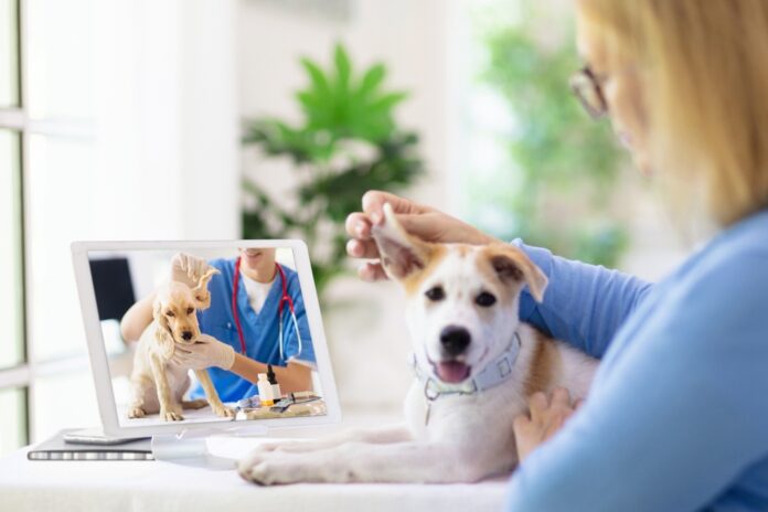 11 Times to Try Veterinary Telehealth
