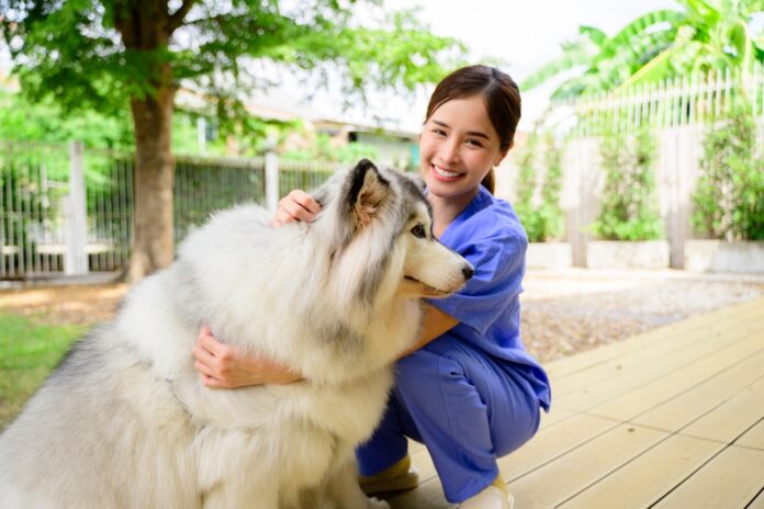 4 Reasons to Try Mobile Veterinary Services
