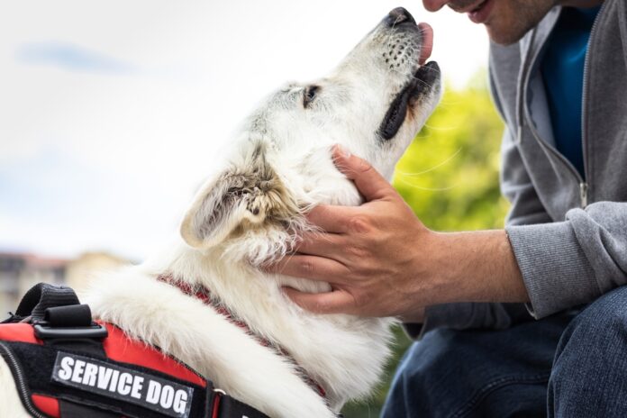 6 Ways Service Dogs Help People with Fibromyalgia