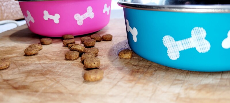 Is Fromm Dog Food Safe for Your Pet’s Health?