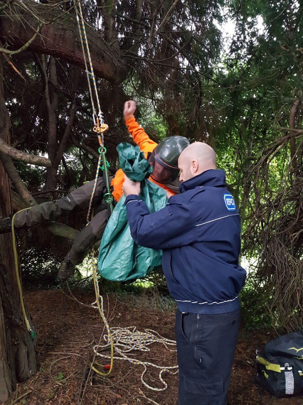 Tree Surgeon Rescues Cat Stuck in 60ft Tree in High Winds