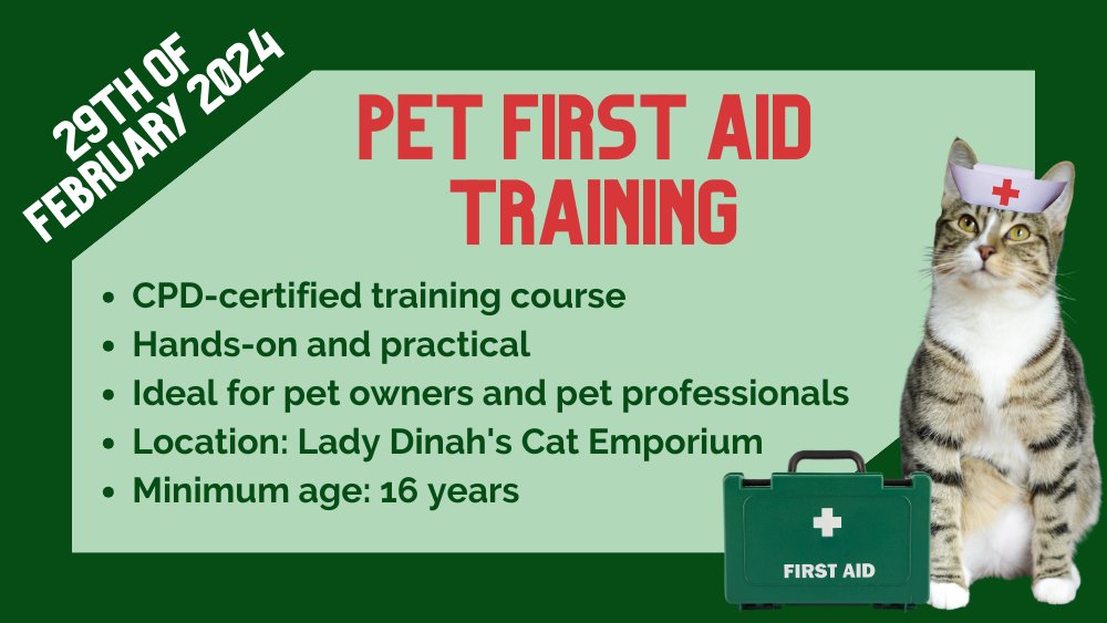 Pet First Aid Course at Lady Dinah’s – February 29, 2024, 6pm-9pm | Improve Your Pet Care Skills
