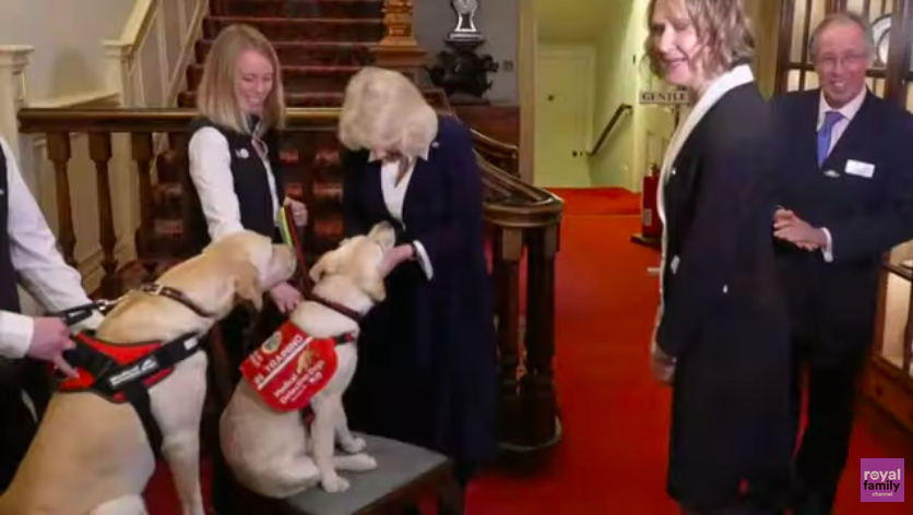 Queen Camilla Celebrates Medical Detection Dogs