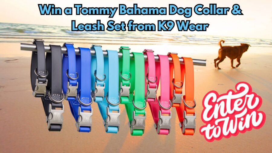 Win a Tommy Bahama Dog Collar & Leash Set from K9 Wear