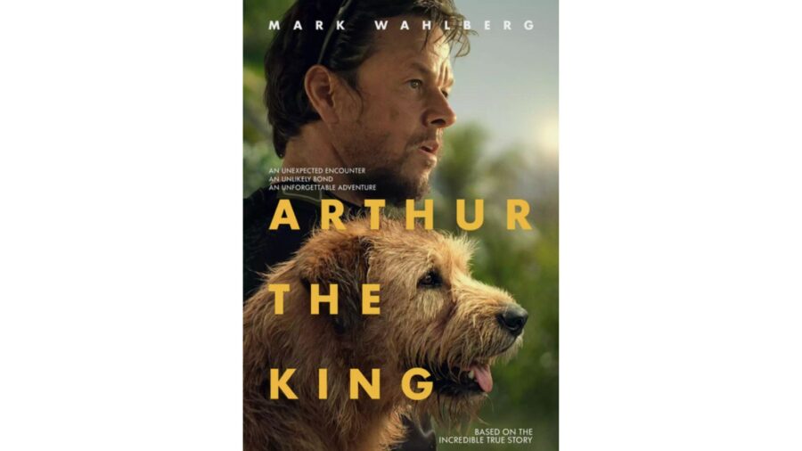 Arthur The King Movie Showcases Rescue of Stray Dog