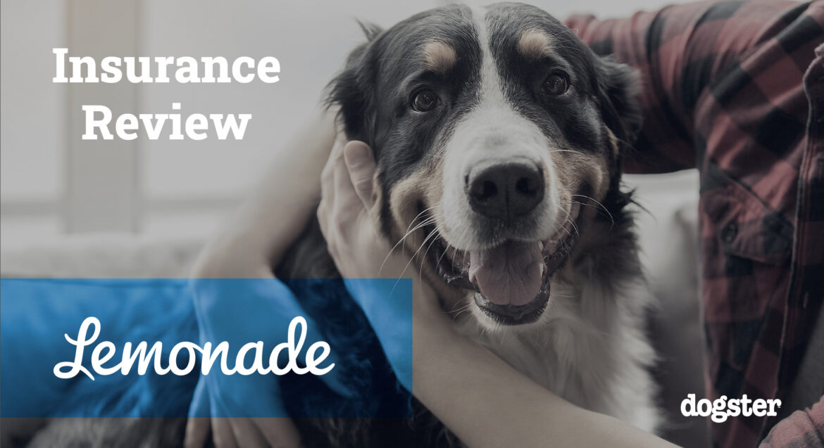 Lemonade Pet Insurance Review 2024: Pros, Cons & Verdict