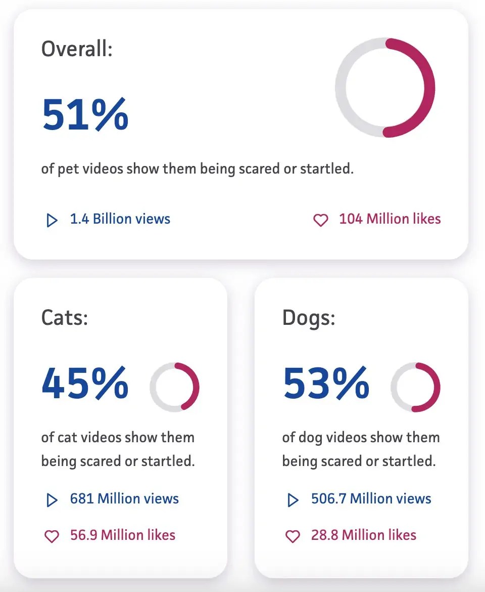 Are Your Pets Really Happy in TikTok Videos? Expert Study Reveals Distressing Truth