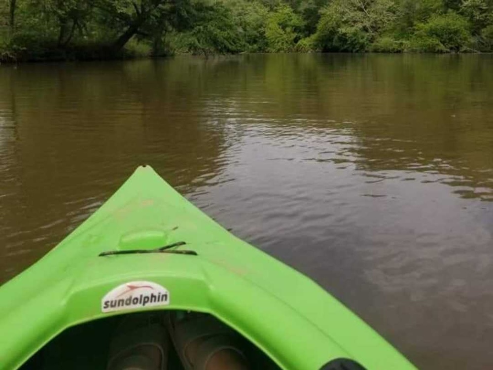 Penny’s Kayaking Adventure: Why I Take Her With Me