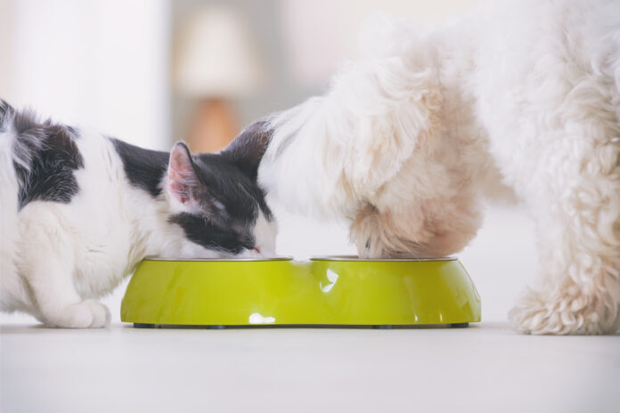 The Ultimate Guide to Bioavailability in Pet Food