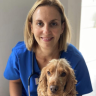 What Is Telehealth for Dogs? Vet-Verified Facts & Info