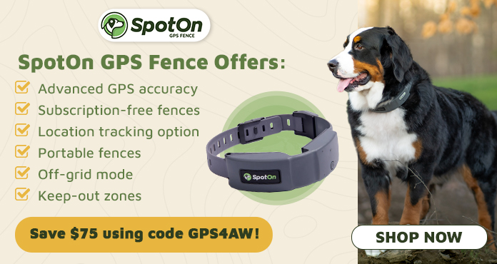 A Guide to Wireless Dog Fences