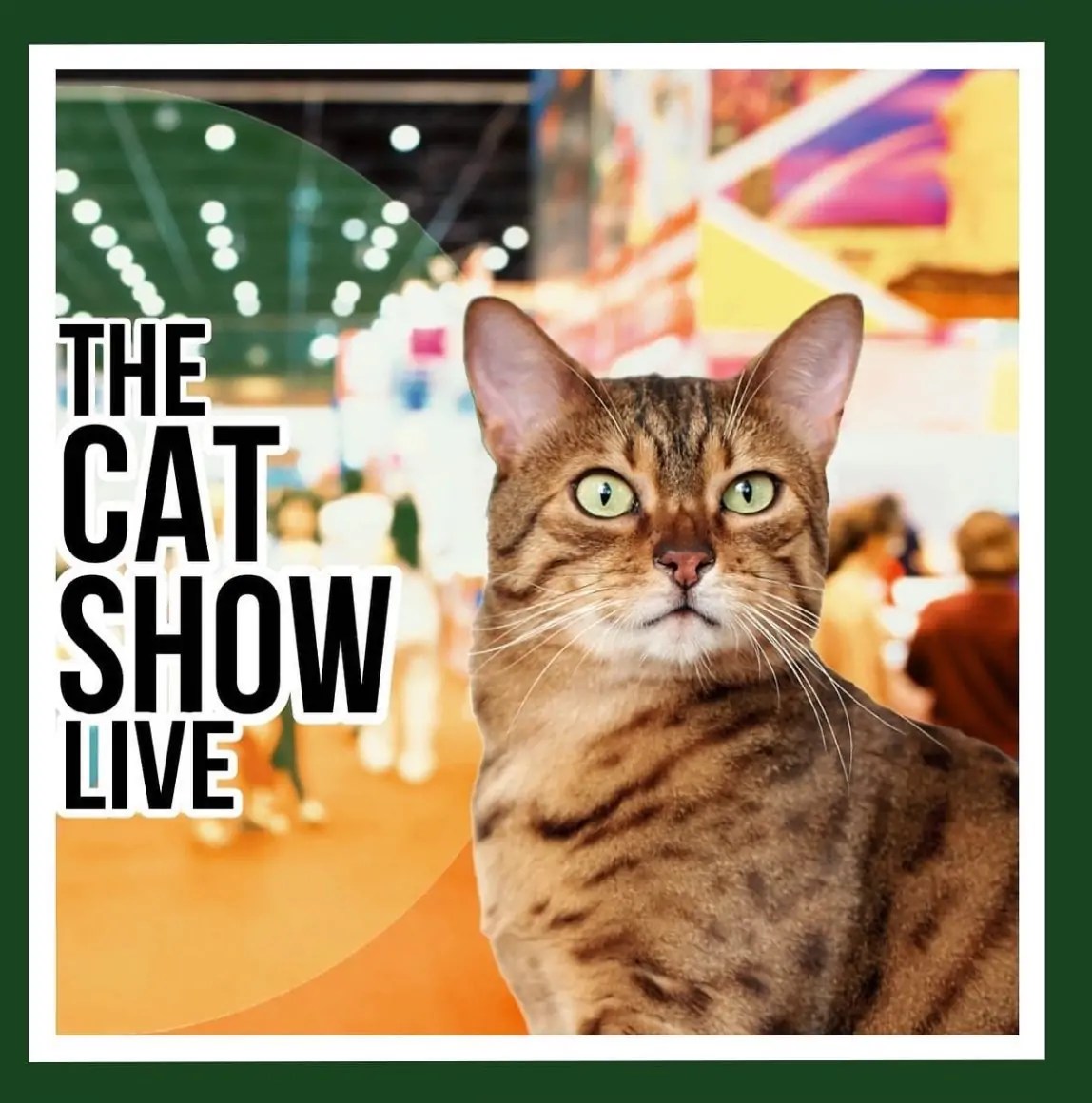 Win Your Way to Purrfection: The Cat Show Live Ticket Giveaway in Birmingham!