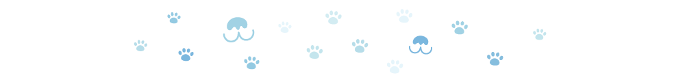 Are Alaskan Malamutes Aggressive? Temperament & Dominance Explained