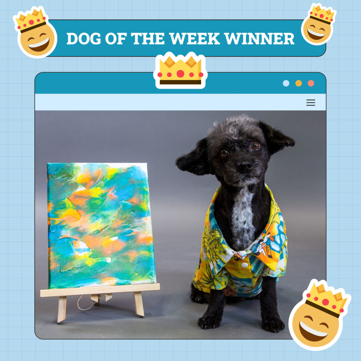 Dogster Photo Contest: Dogs of the Week Winners (October 25, 2024)