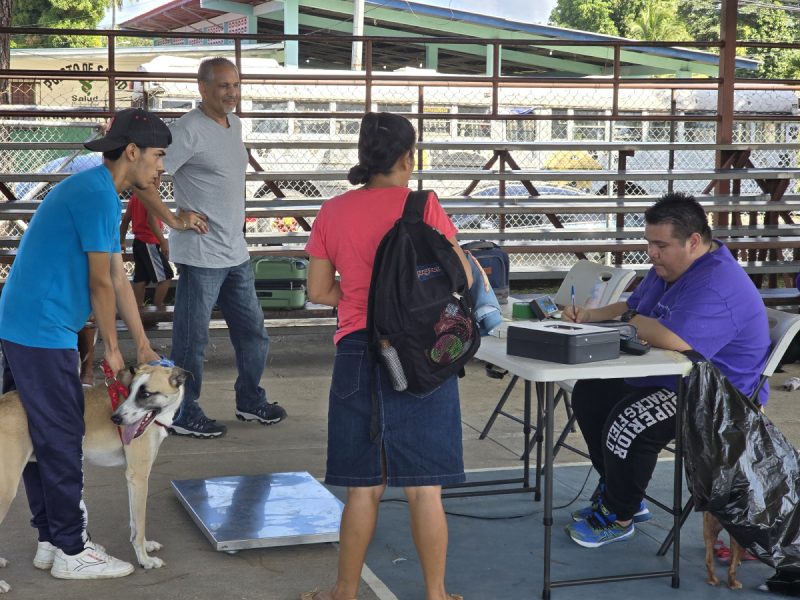 292 Neutering and Spay Successes in One Day: Dogster’s Dr. Paola Volunteers in Panama