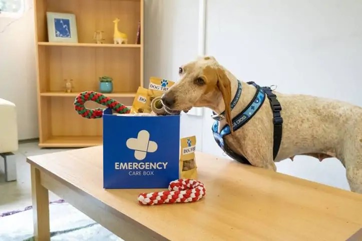 Gift an Emergency Care Box and Help Save a Pet’s Life This Christmas