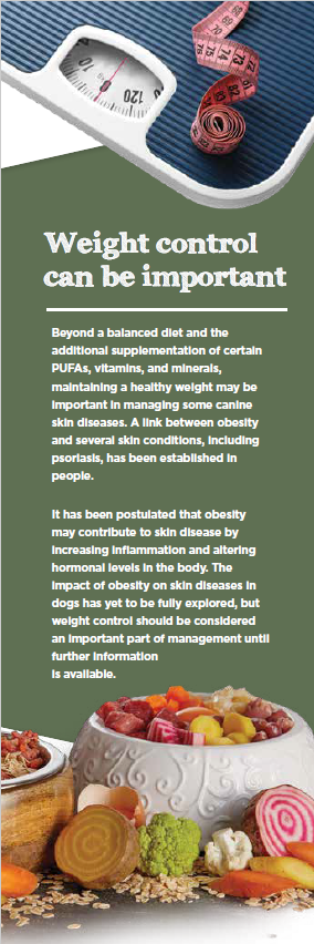 Nutritional therapy for dogs with skin disease 