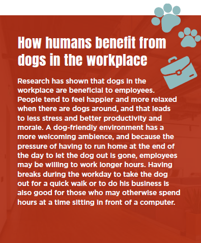 Pros and cons of dogs in the workplace